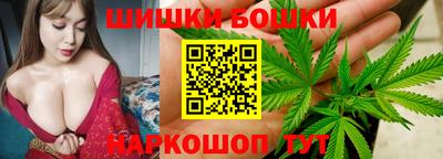 спиды Кингисепп