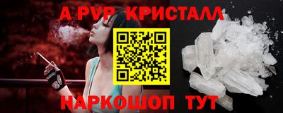 спиды Кингисепп