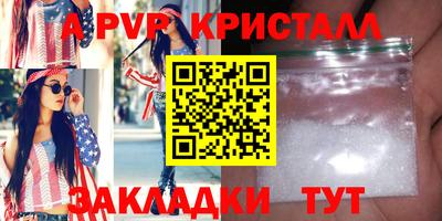 спиды Кингисепп