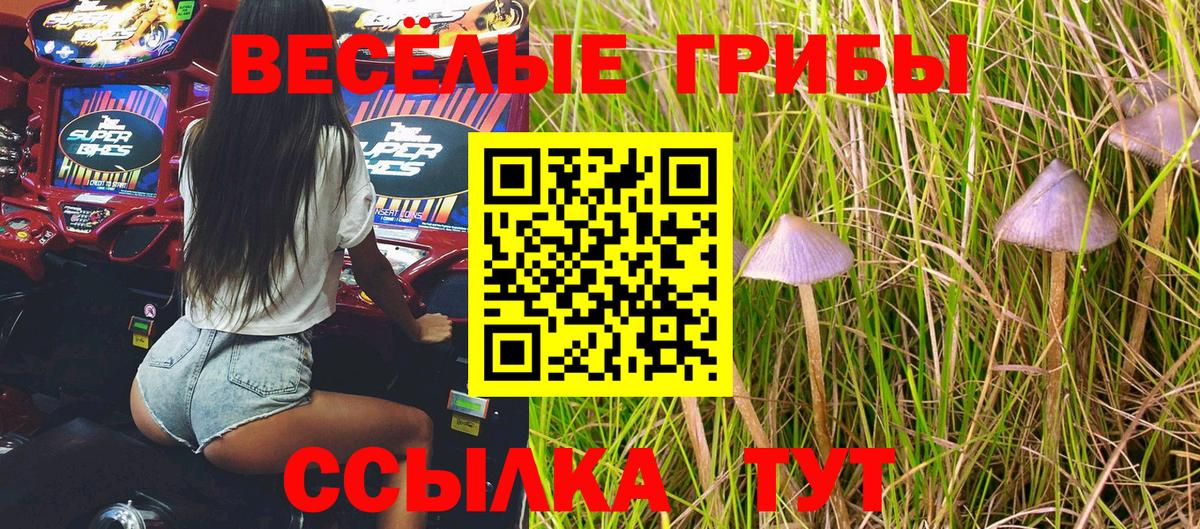 Псилоцибиновые грибы Magic Shrooms  Вход с VPN  Галлюциногенные грибы мицелий  Усть-Илимск 